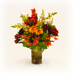 Autumn Delights from Casey's Garden Shop & Florist, Bloomington Flower Shop