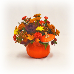 Autumnal Bliss from Casey's Garden Shop & Florist, Bloomington Flower Shop