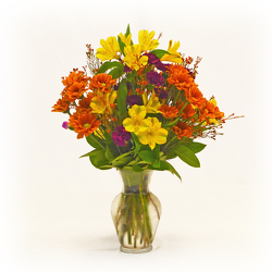 Oh Happy Autumn Day from Casey's Garden Shop & Florist, Bloomington Flower Shop