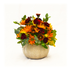 Autumn Wonders from Casey's Garden Shop & Florist, Bloomington Flower Shop