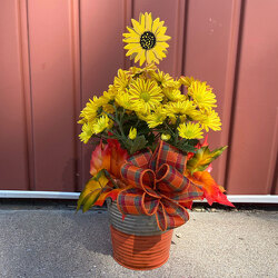 Autumn Sunshine from Casey's Garden Shop & Florist, Bloomington Flower Shop