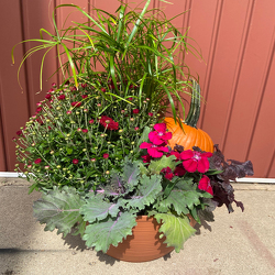 Fall Combo Bowl from Casey's Garden Shop & Florist, Bloomington Flower Shop