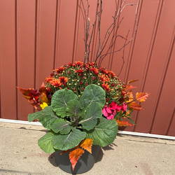 Fall Patio Pot from Casey's Garden Shop & Florist, Bloomington Flower Shop