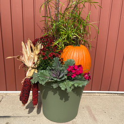 Casey's Special Fall Planter from Casey's Garden Shop & Florist, Bloomington Flower Shop