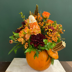 Autumn Bliss from Casey's Garden Shop & Florist, Bloomington Flower Shop