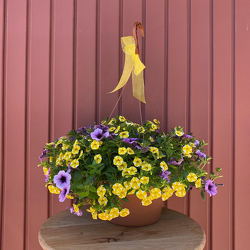 Deluxe Hanging Basket : Mixed Annuals from Casey's Garden Shop & Florist, Bloomington Flower Shop