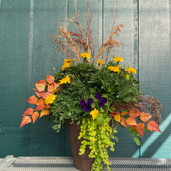 Fall Porch Pot from Casey's Garden Shop & Florist, Bloomington Flower Shop