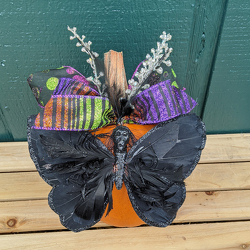 Mini Masquerade Pumpkin from Casey's Garden Shop & Florist, Bloomington Flower Shop