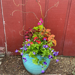 Deluxe Porch Pot from Casey's Garden Shop & Florist, Bloomington Flower Shop