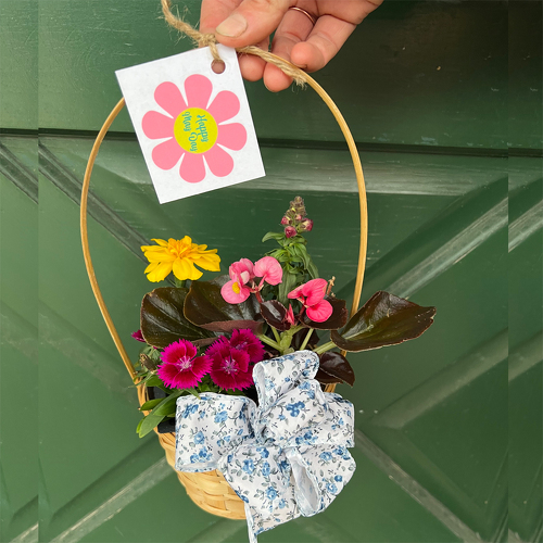 May Day Ring & Run! from Casey's Garden Shop & Florist, Bloomington Flower Shop