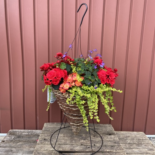Cone Rope Hanging Basket from Casey's Garden Shop & Florist, Bloomington Flower Shop