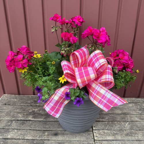 12" Combo Patio Pot from Casey's Garden Shop & Florist, Bloomington Flower Shop