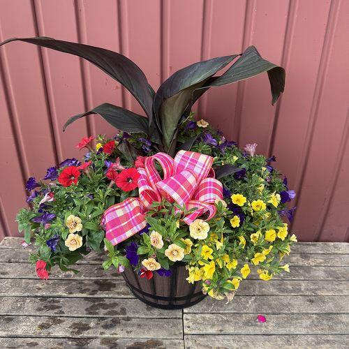 Whiskey Barrel Planter - Sun from Casey's Garden Shop & Florist, Bloomington Flower Shop