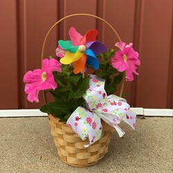Basket Of Joy from Casey's Garden Shop & Florist, Bloomington Flower Shop