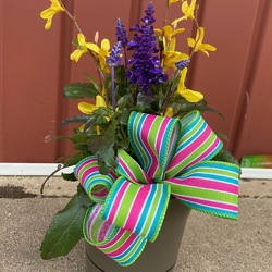 Grab & Enjoy! from Casey's Garden Shop & Florist, Bloomington Flower Shop