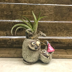 Little Buddies  from Casey's Garden Shop & Florist, Bloomington Flower Shop