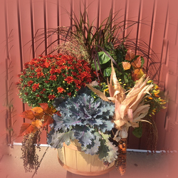 Mixed Autumn Basket from Casey's Garden Shop & Florist, Bloomington Flower Shop