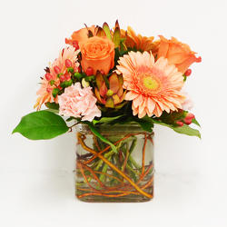 Pacific Punch from Casey's Garden Shop & Florist, Bloomington Flower Shop