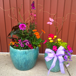 Outdoor Porch Planter - Ceramic from Casey's Garden Shop & Florist, Bloomington Flower Shop