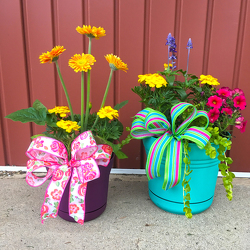 Outdoor Porch Planter - Plastic from Casey's Garden Shop & Florist, Bloomington Flower Shop