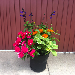 Summer Sun Porch Pot from Casey's Garden Shop & Florist, Bloomington Flower Shop