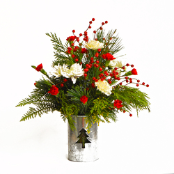 O’ Christmas Tree     from Casey's Garden Shop & Florist, Bloomington Flower Shop