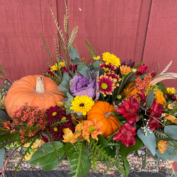 Rustic Harvest from Casey's Garden Shop & Florist, Bloomington Flower Shop