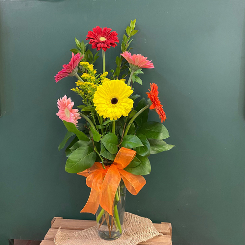 Graceful Gerberas from Casey's Garden Shop & Florist, Bloomington Flower Shop