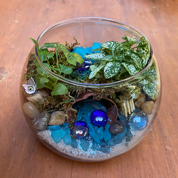 Terrarium from Casey's Garden Shop & Florist, Bloomington Flower Shop