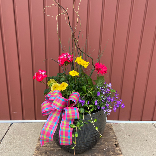 Casey's Special Spring Planter from Casey's Garden Shop & Florist, Bloomington Flower Shop