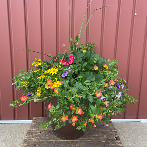 14" Spring Patio Pot from Casey's Garden Shop & Florist, Bloomington Flower Shop