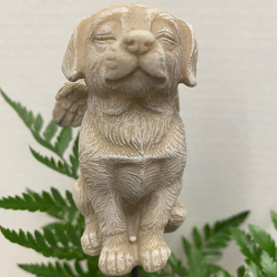 Resin Dog Angel from Casey's Garden Shop & Florist, Bloomington Flower Shop