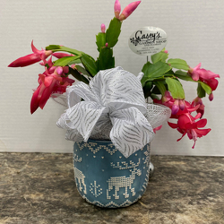 Sweater Weather from Casey's Garden Shop & Florist, Bloomington Flower Shop