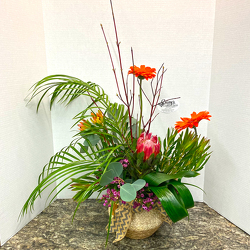 Tropical Twist from Casey's Garden Shop & Florist, Bloomington Flower Shop