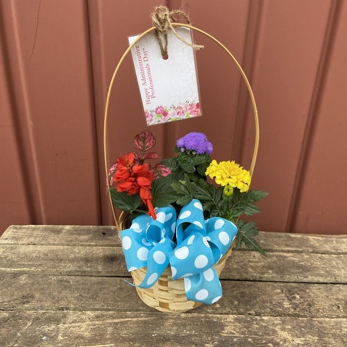 Casey's Garden Shop and Florist Flower Shop in Bloomington