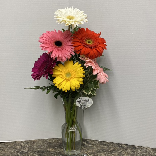 Graceful Gerberas from Casey's Garden Shop & Florist, Bloomington Flower Shop