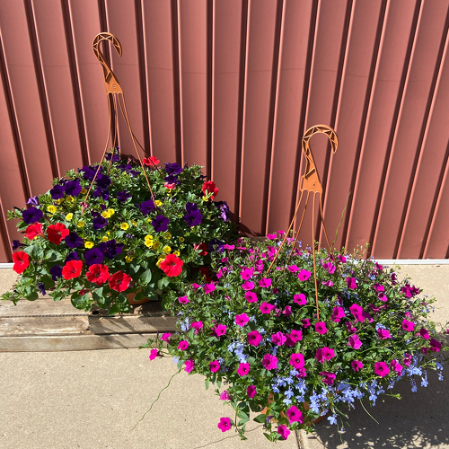 Casey's Garden Shop and Florist Flower Shop in Bloomington