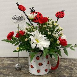 Happy Lady Bug from Casey's Garden Shop & Florist, Bloomington Flower Shop