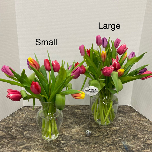 Tulip Time from Casey's Garden Shop & Florist, Bloomington Flower Shop