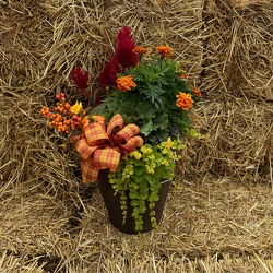 Fall Mixed Planter from Casey's Garden Shop & Florist, Bloomington Flower Shop