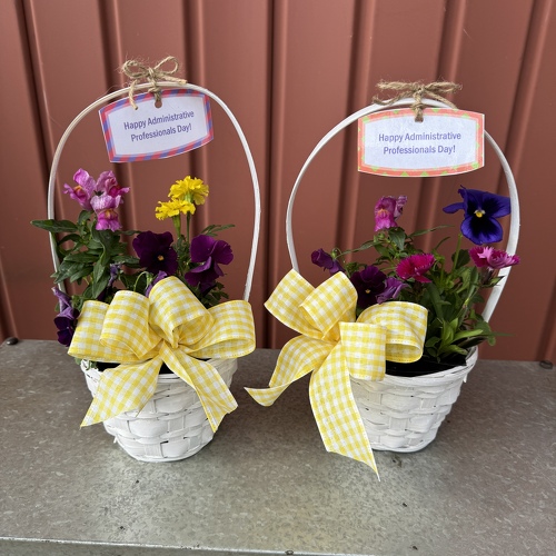 Administrative Assistant's Day Basket from Casey's Garden Shop & Florist, Bloomington Flower Shop
