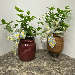 Summer Breeze from Casey's Garden Shop & Florist, Bloomington Flower Shop