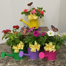 Summer Splendor from Casey's Garden Shop & Florist, Bloomington Flower Shop