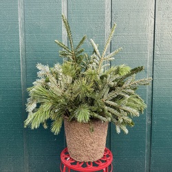 Basic Winter Porch Pot from Casey's Garden Shop & Florist, Bloomington Flower Shop