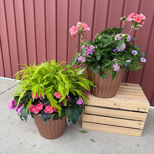 10" Porch Pot from Casey's Garden Shop & Florist, Bloomington Flower Shop