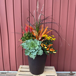 11" Mixed Fall Planter from Casey's Garden Shop & Florist, Bloomington Flower Shop