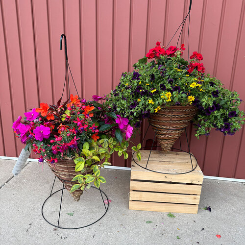 14" Wicker Cone Hanging Basket from Casey's Garden Shop & Florist, Bloomington Flower Shop