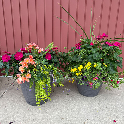 14" Porch Pot from Casey's Garden Shop & Florist, Bloomington Flower Shop