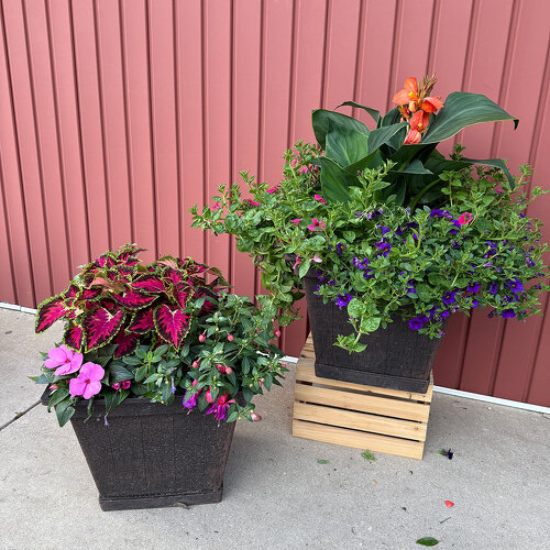 17" Square Porch Pot from Casey's Garden Shop & Florist, Bloomington Flower Shop
