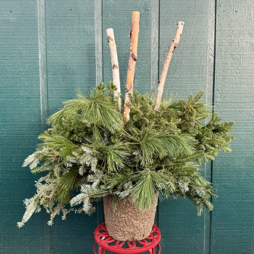 Basic Winter Porch Pot with Birch Logs from Casey's Garden Shop & Florist, Bloomington Flower Shop